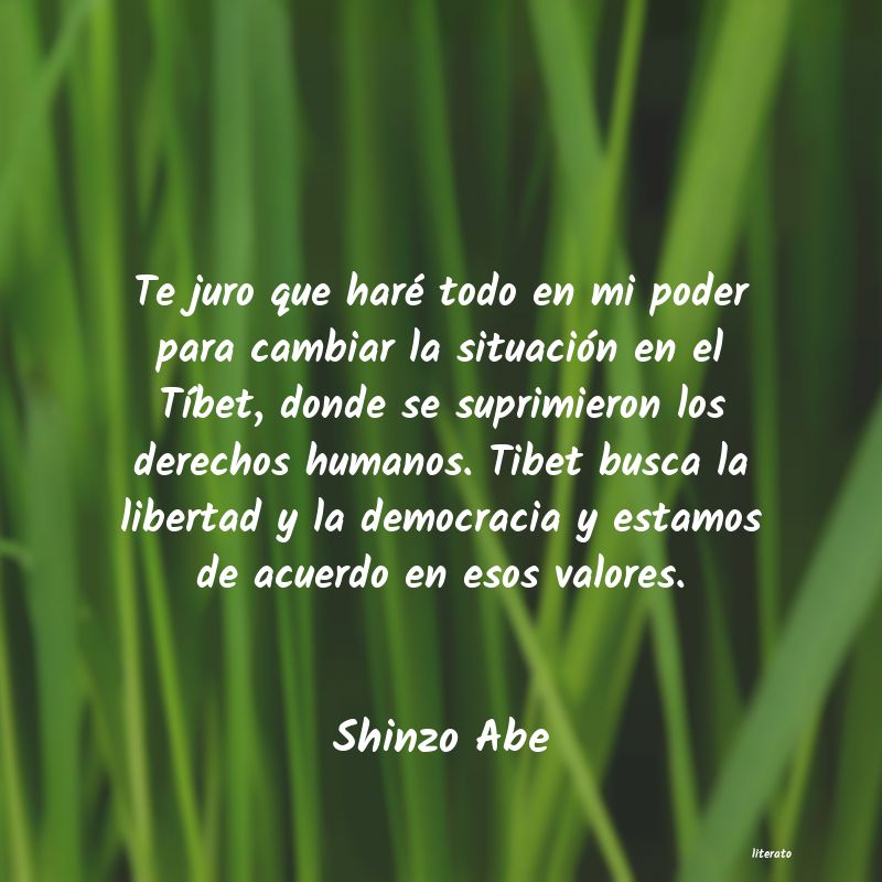 Frases de Shinzo Abe