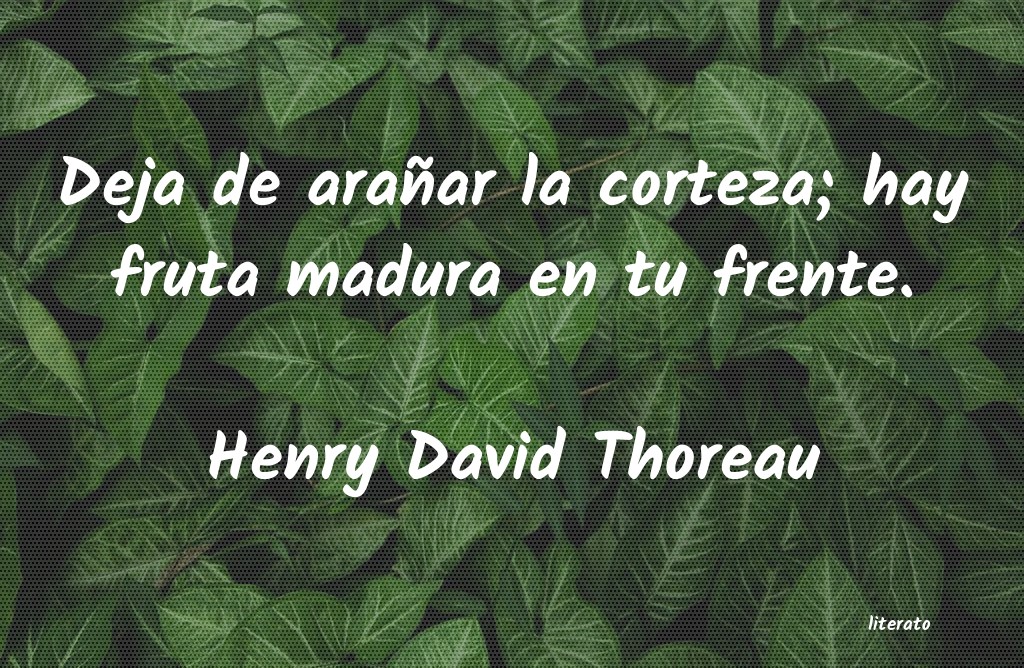 Frases de Henry David Thoreau