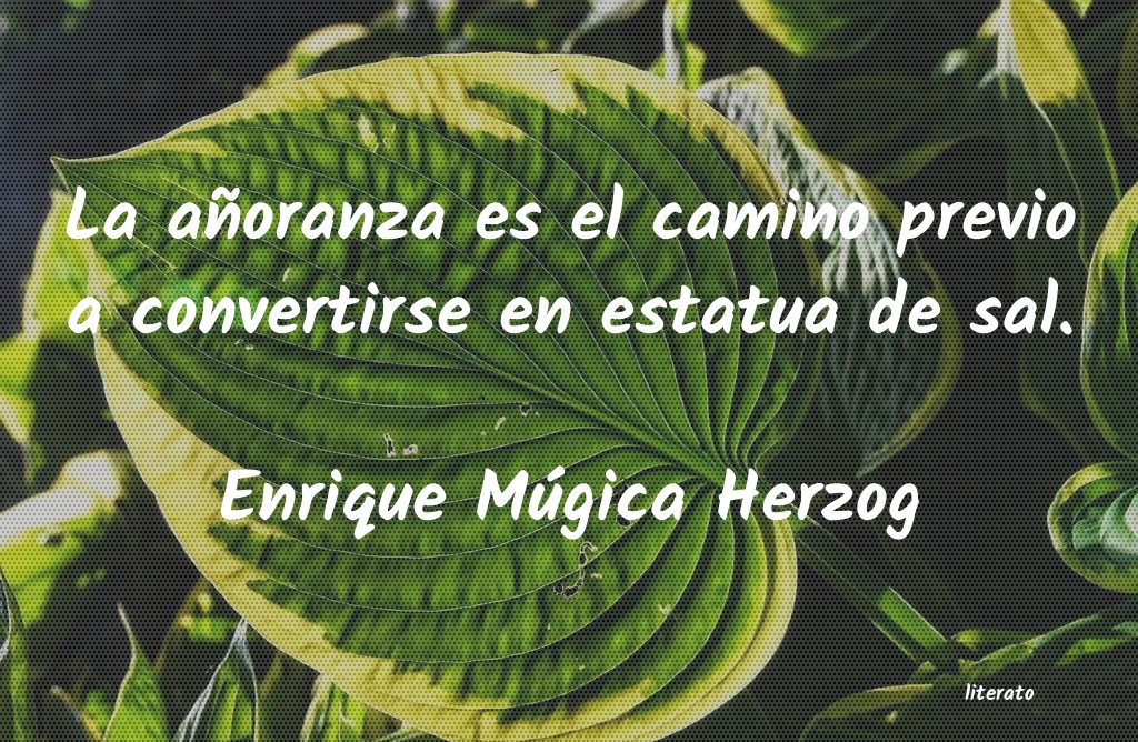 frases de Enrique Múgica Herzog