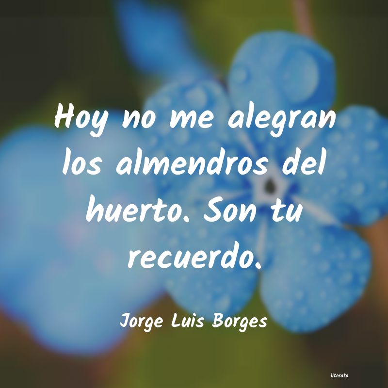 Frases de Jorge Luis Borges