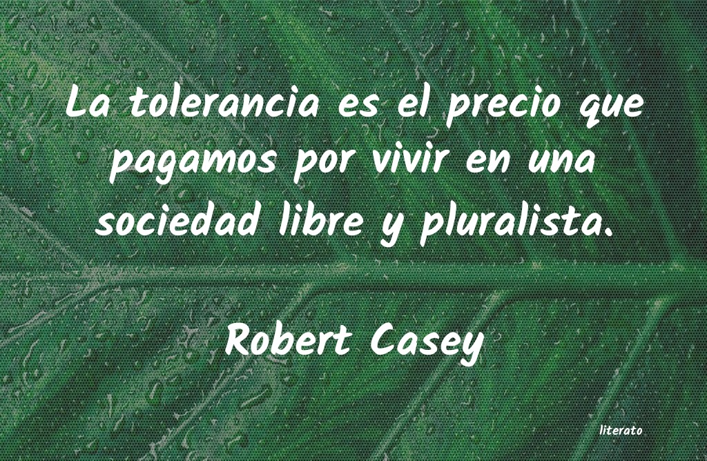 Frases de Robert Casey