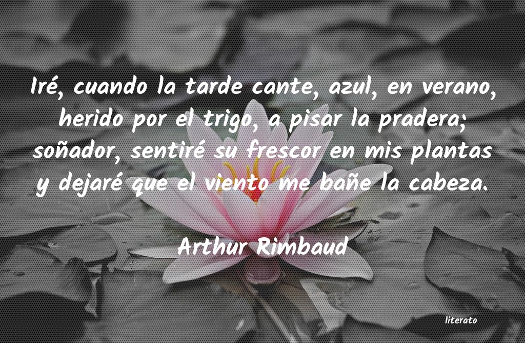 poemas al verano es en 3 estrofas