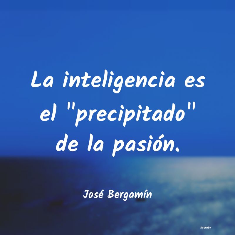 frases de José BergamÃn