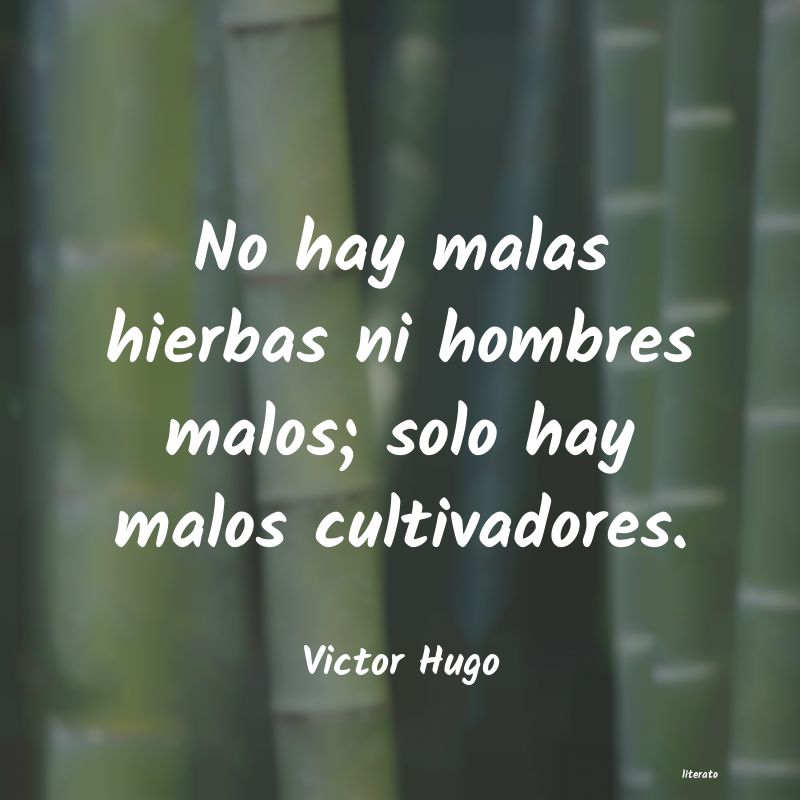 Frases de Victor Hugo