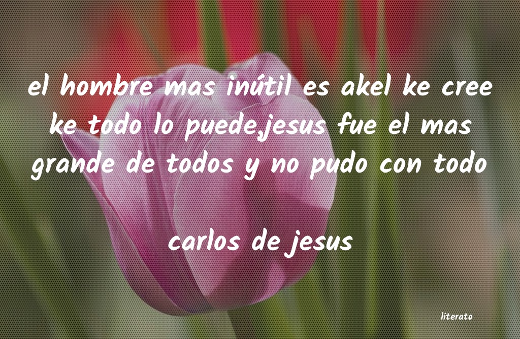 Frases de carlos de jesus