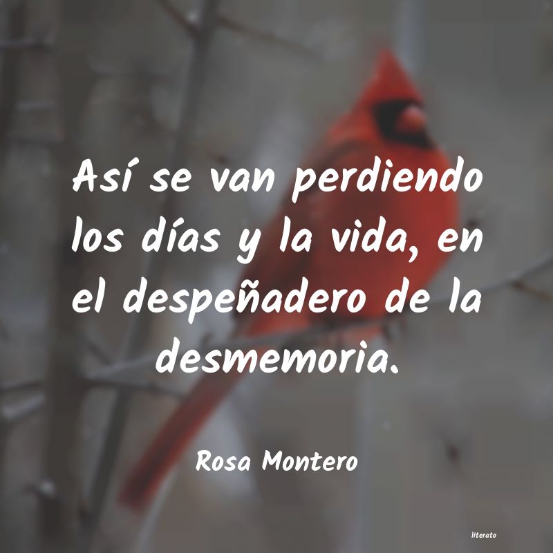 frases de Rosa Montero