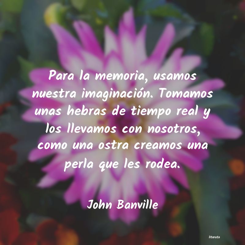 Frases de John Banville