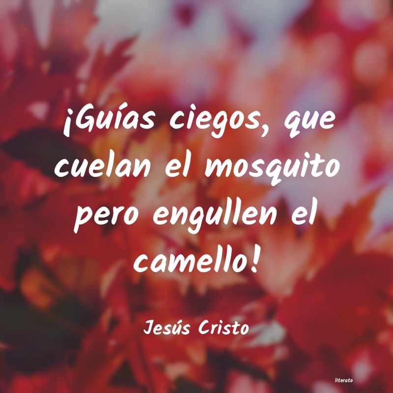 Frases de Jesús Cristo