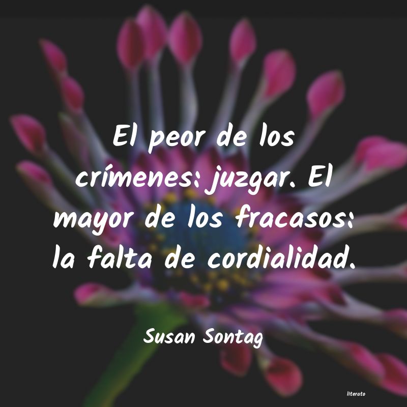 Frases de Susan Sontag