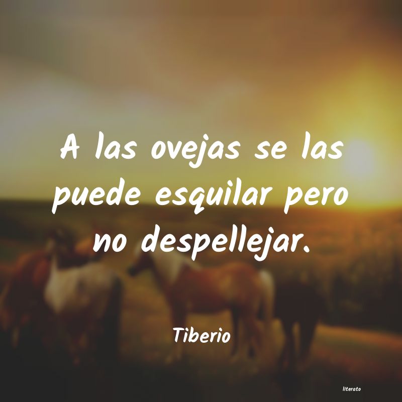 Frases de Tiberio