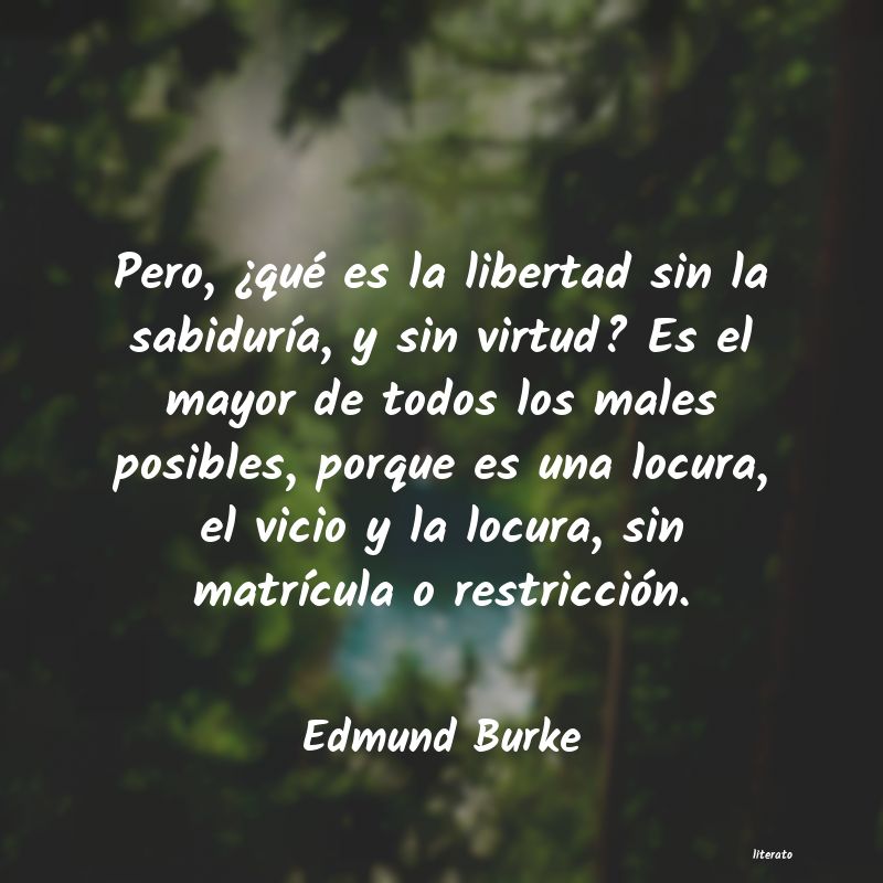 Frases de Edmund Burke