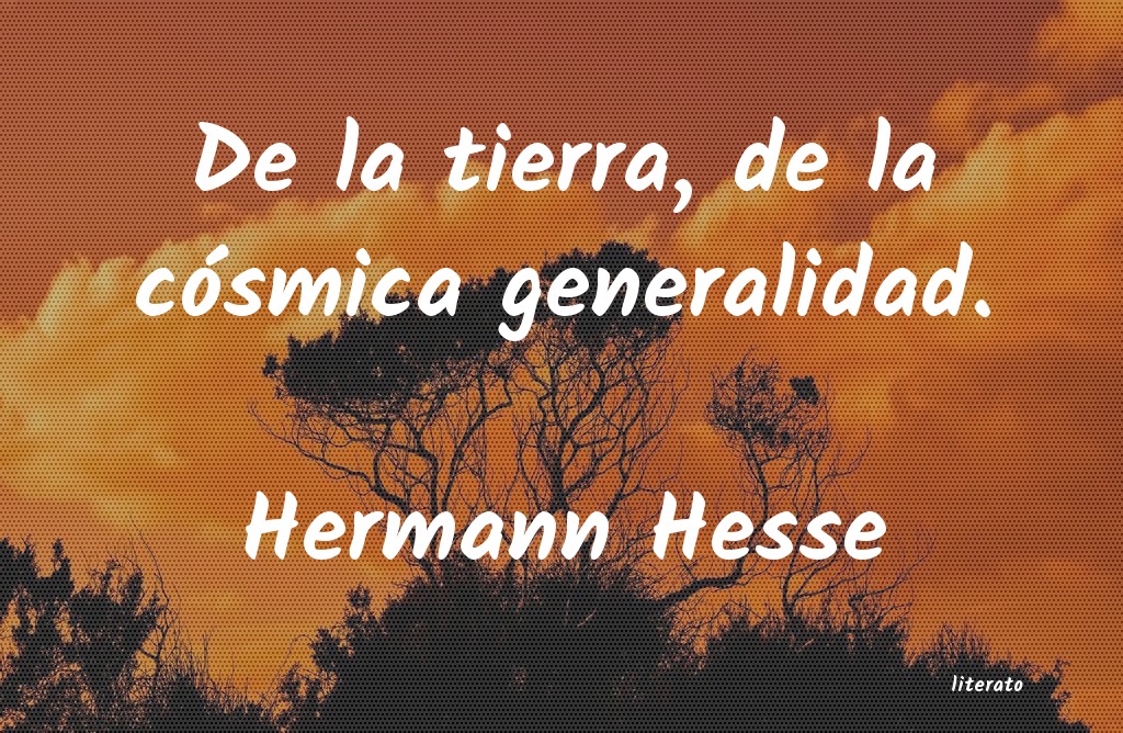 Frases de Hermann Hesse