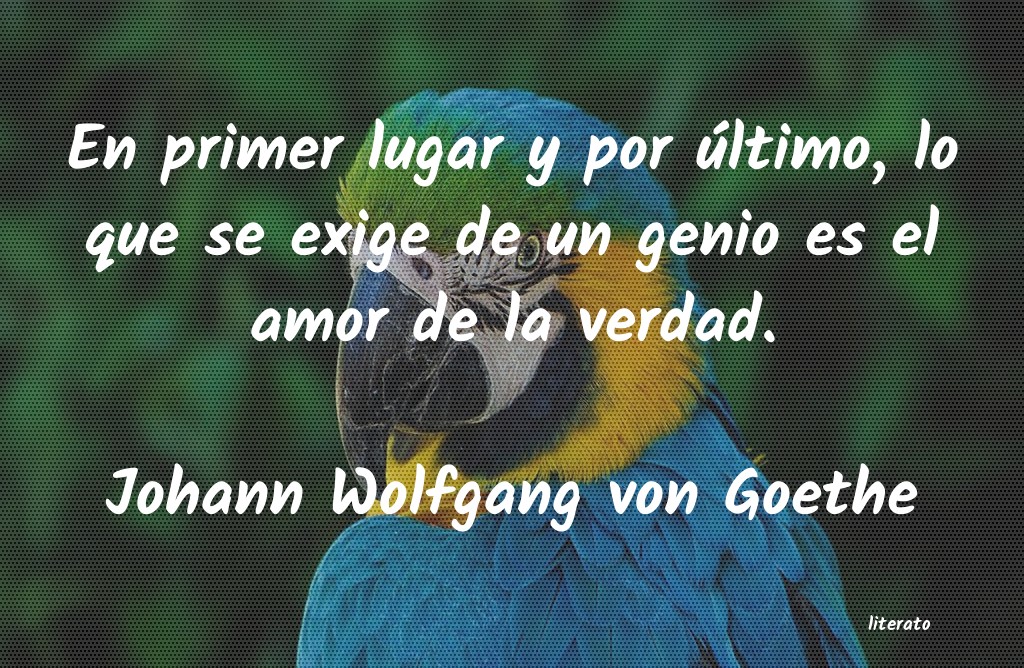 primer amor