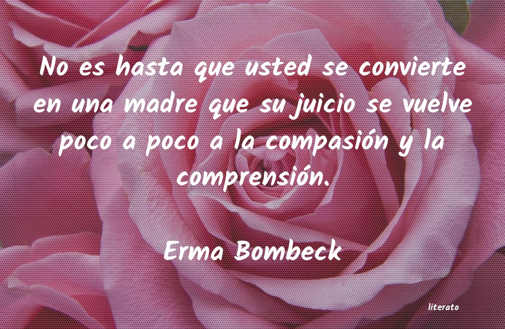 frases de Erma Bombeck