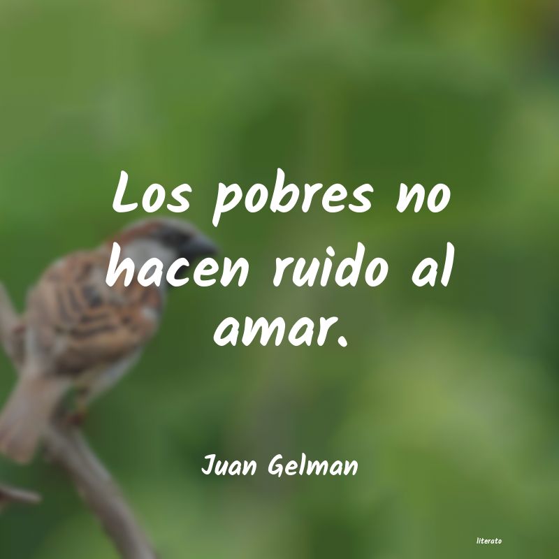 Frases de Juan Gelman