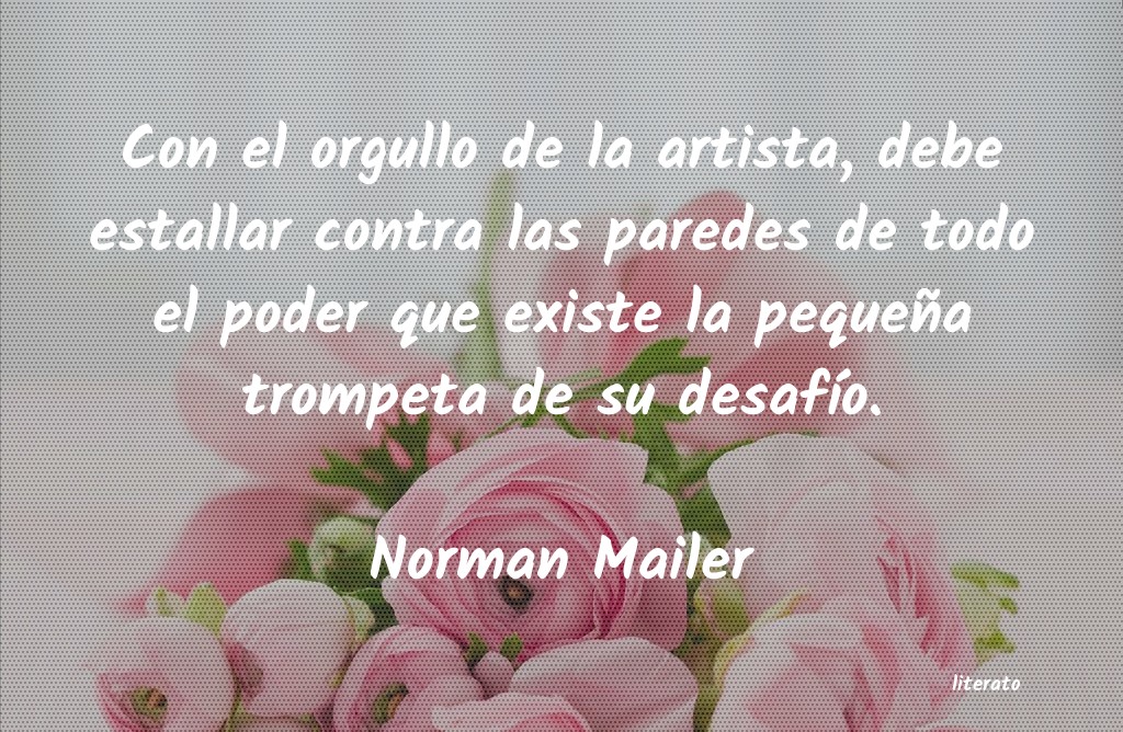 Frases de Norman Mailer