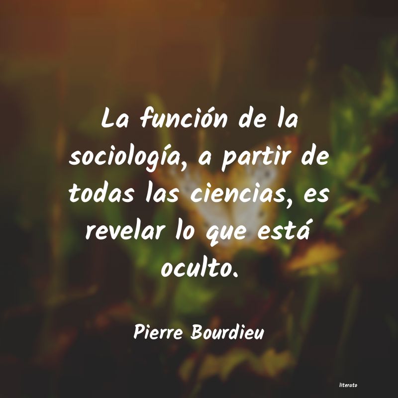 frases de Pierre Bourdieu