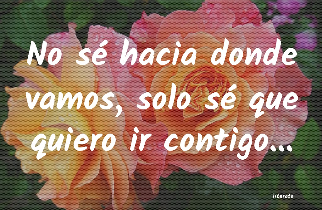frases