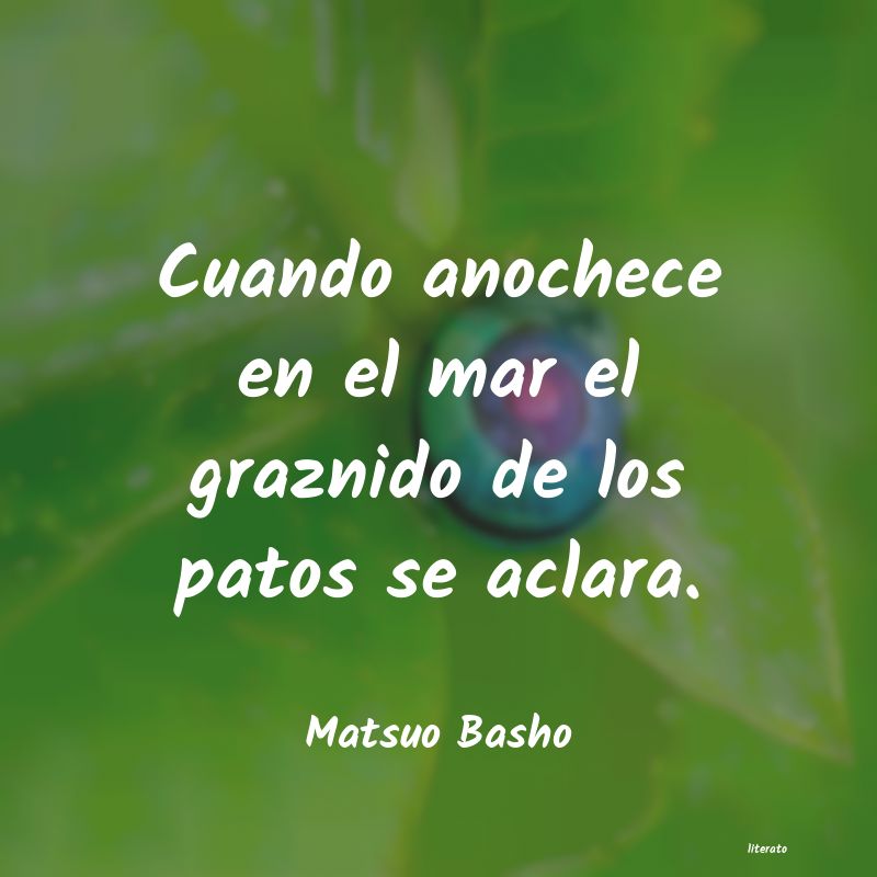 Frases de Matsuo Basho