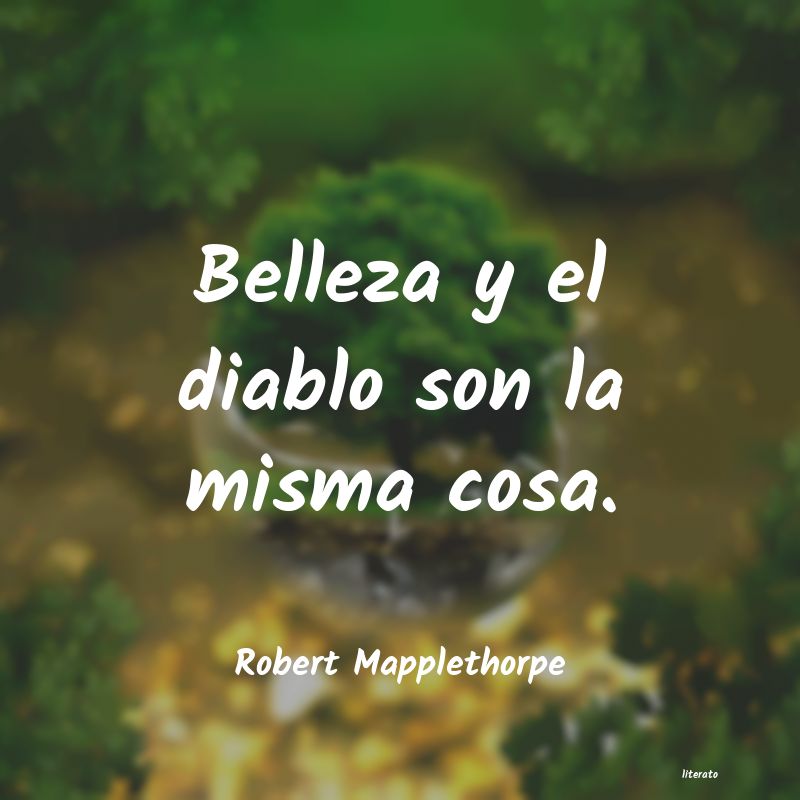 frases de Robert Mapplethorpe