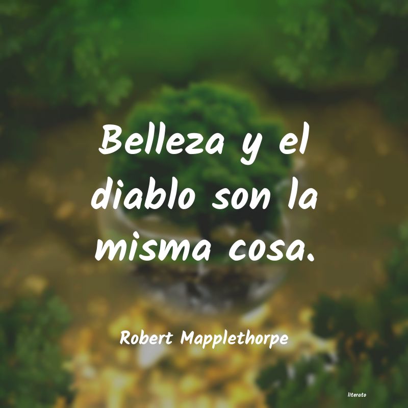 Frases de Robert Mapplethorpe