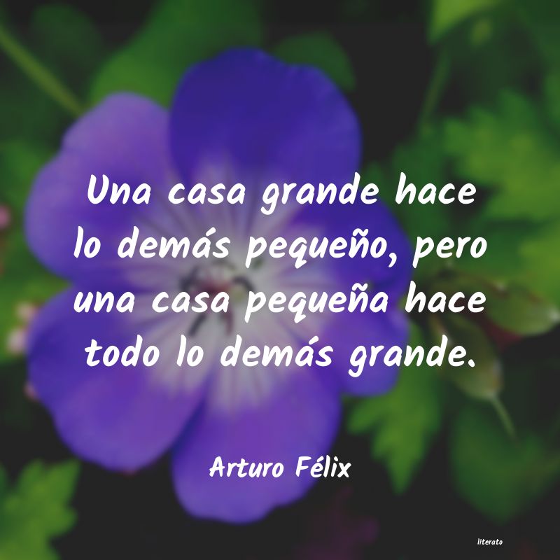 Frases de Arturo Félix