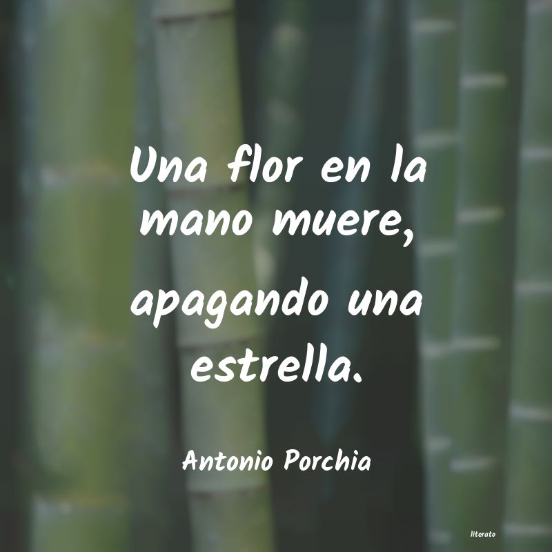 frases de Antonio Porchia