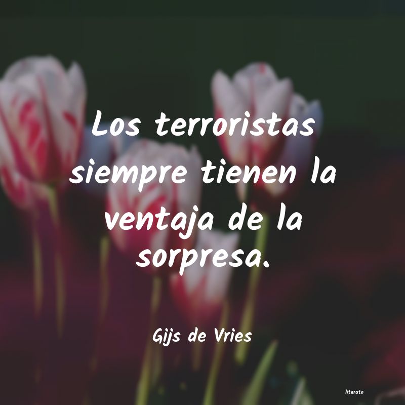 Frases de Gijs de Vries