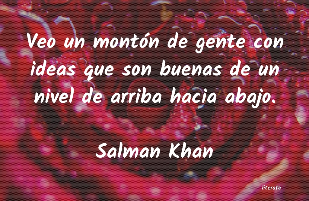 Frases de Salman Khan