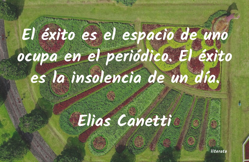 elias canetti conocimiento conocer mejor