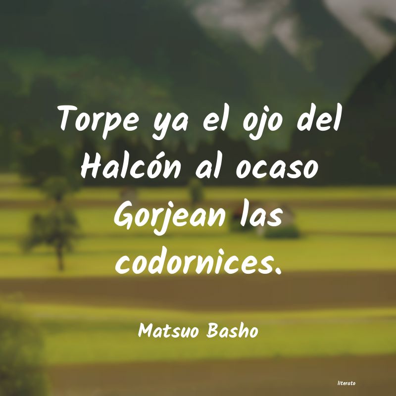 Frases de Matsuo Basho