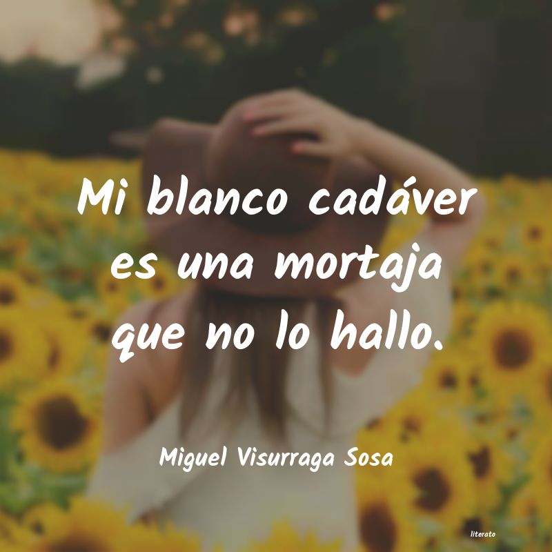 frases de Miguel Visurraga Sosa