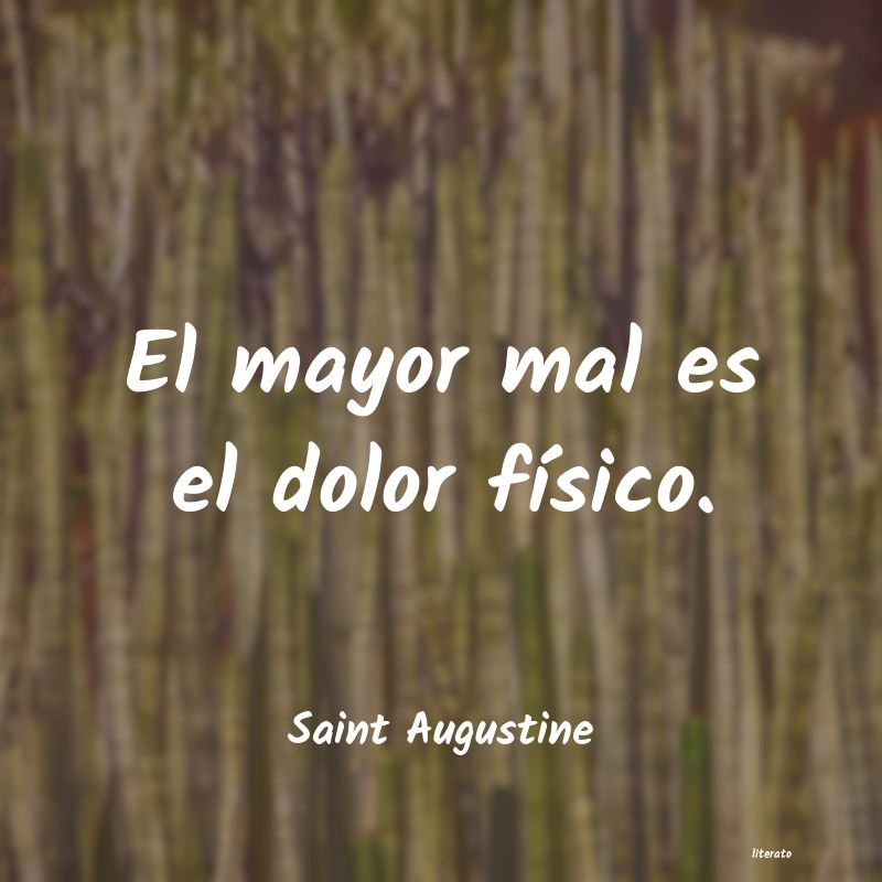 frases de Saint Augustine