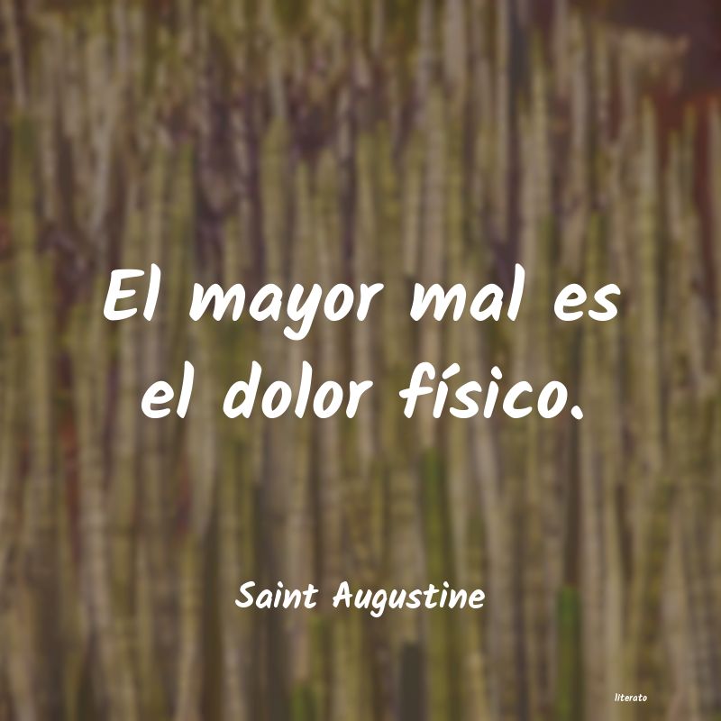 Frases de Saint Augustine