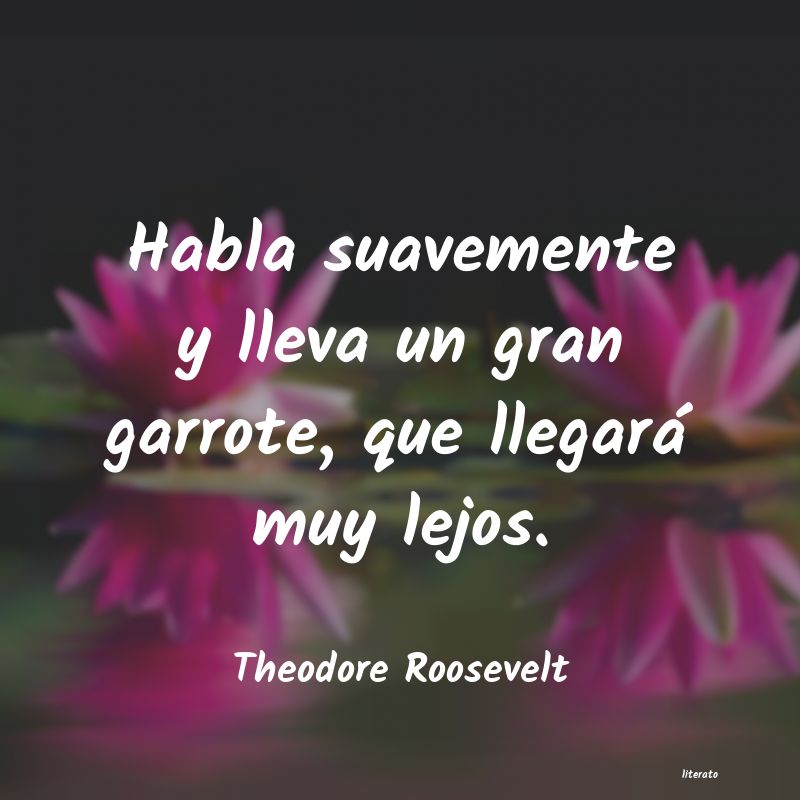 Frases de Theodore Roosevelt