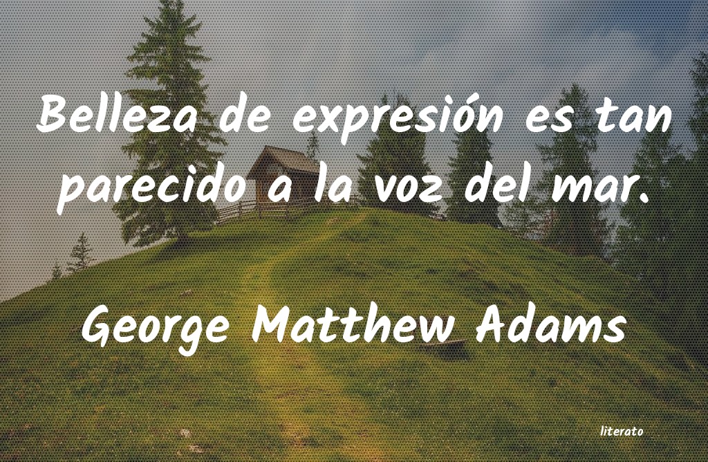 Frases de George Matthew Adams