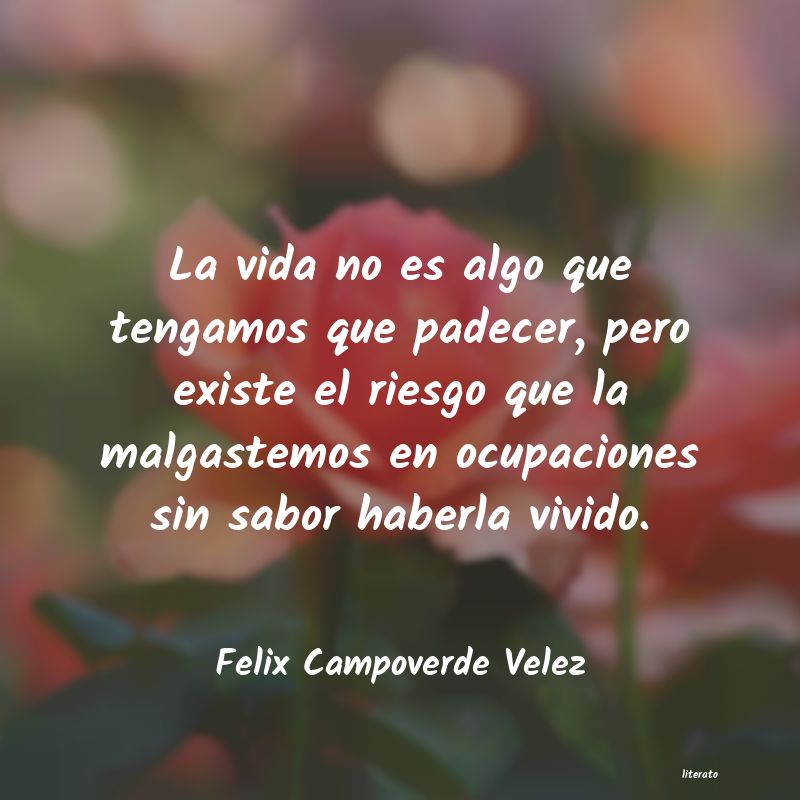 Frases de Felix Campoverde Velez