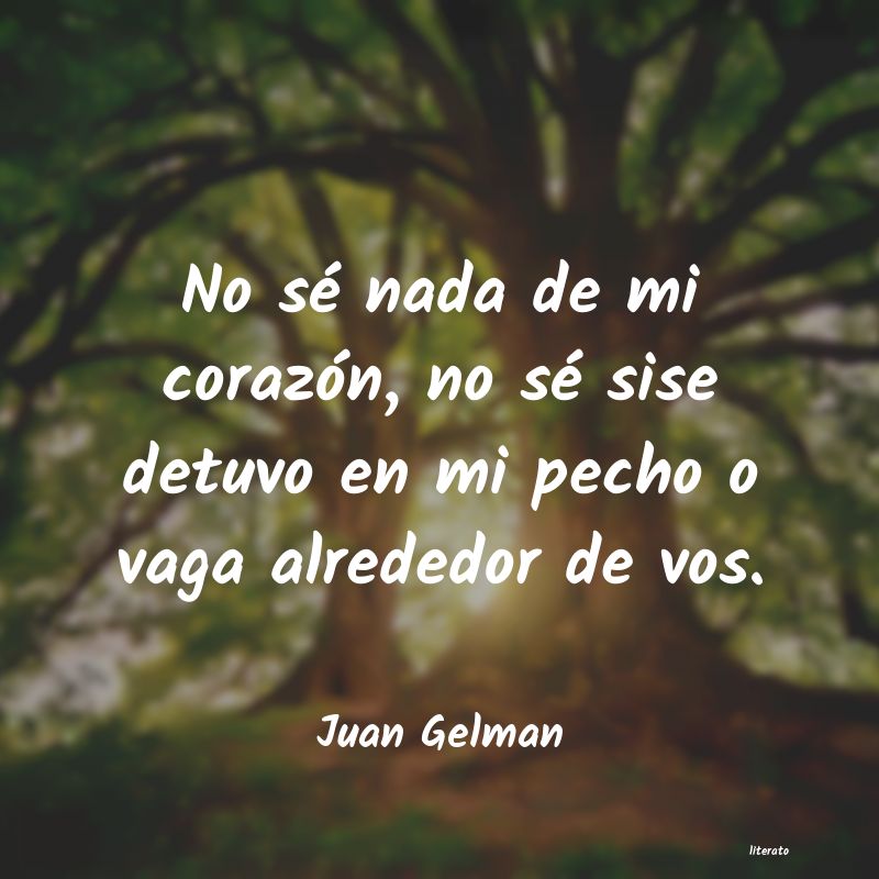 frases de Juan Gelman