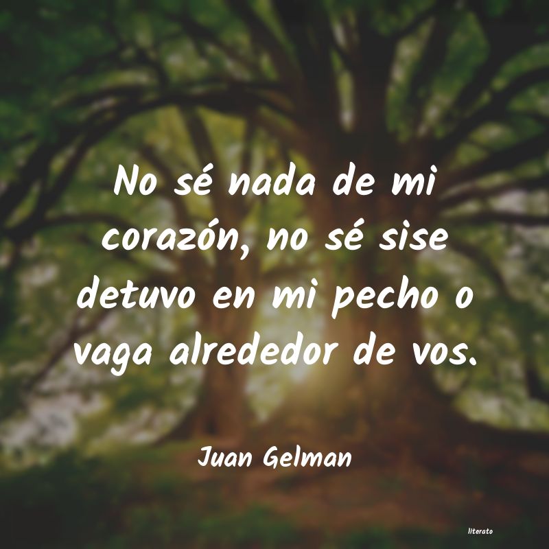 Frases de Juan Gelman