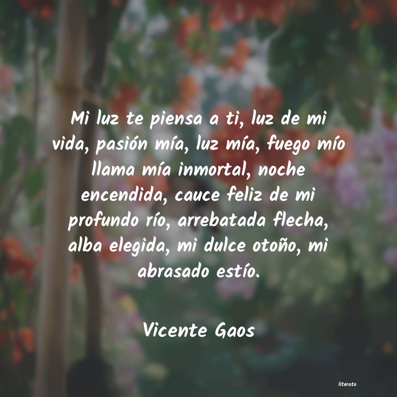 Frases de Vicente Gaos