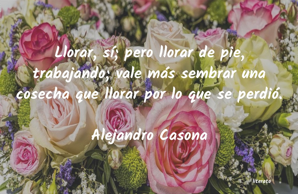 frases de Alejandro Casona