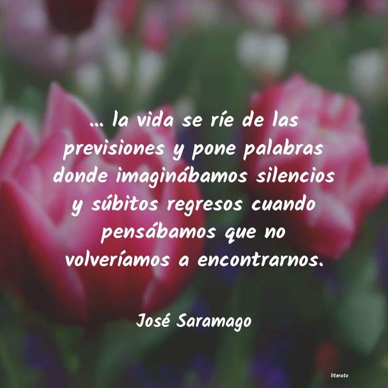 Frases de José Saramago