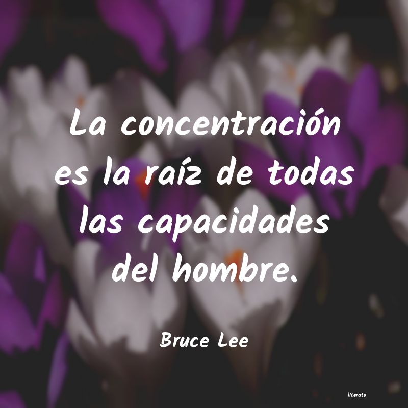 frases de Bruce Lee