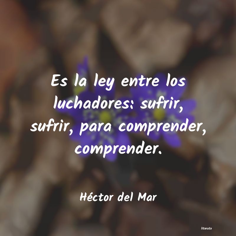 Frases de Héctor del Mar