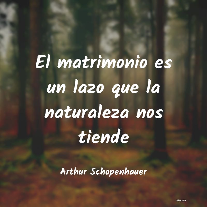 Frases de Arthur Schopenhauer