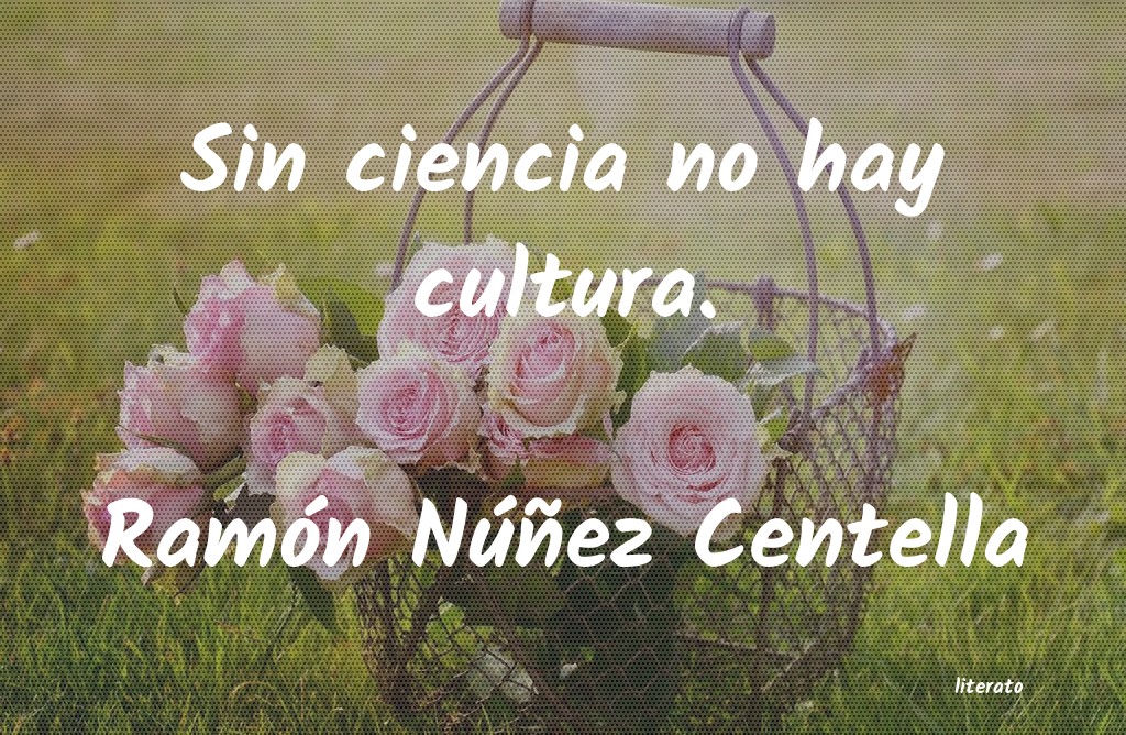 Frases de Ramón Núñez Centella