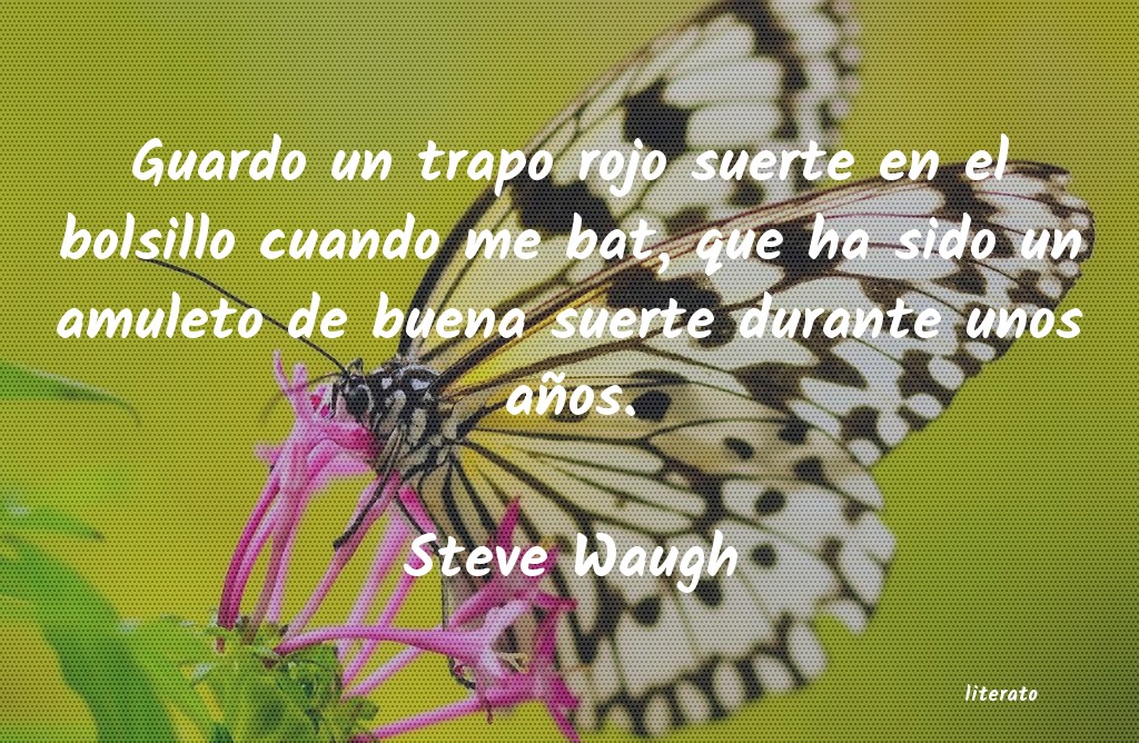 Frases de Steve Waugh