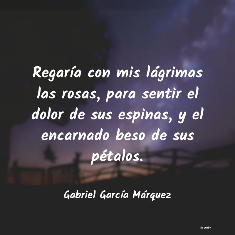 Frases de Gabriel García Márquez