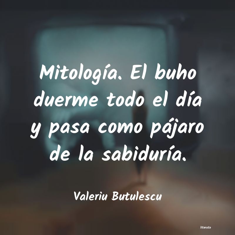 Frases de Valeriu Butulescu