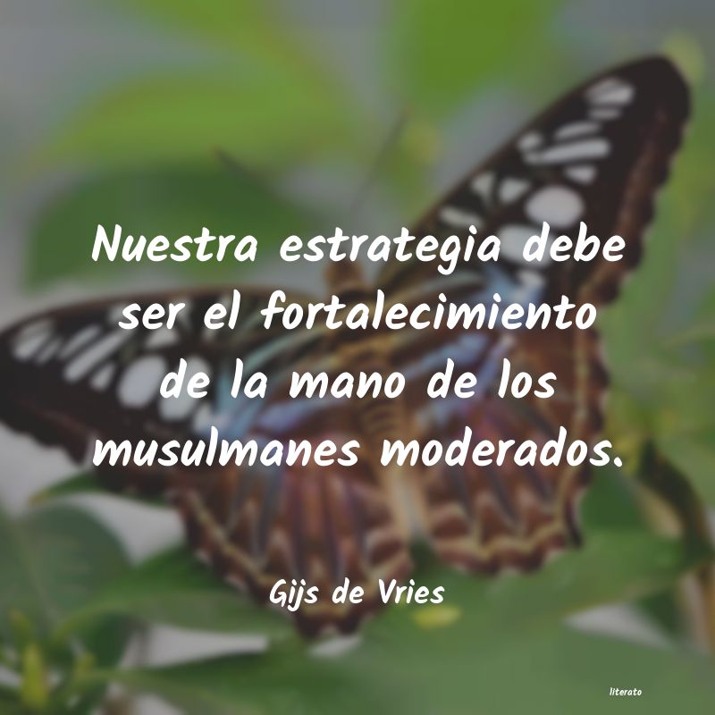 Frases de Gijs de Vries